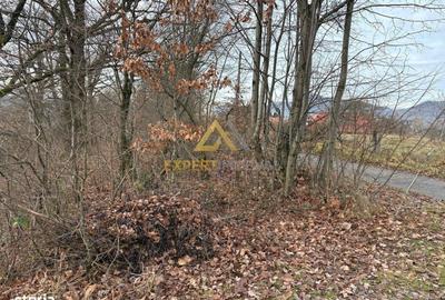 Teren de 10170 mp, în Dumbrăvița - 1