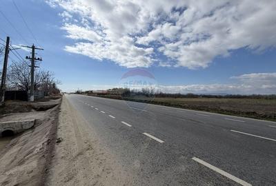 Teren agricol intravilan de 9431 mp, în Bizighești - 2