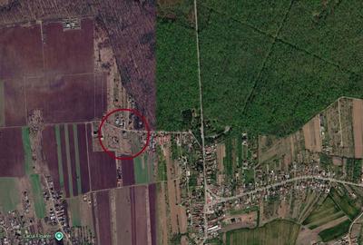 Teren de 500 mp, în Periș - 3