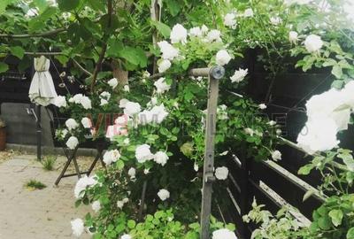 Apartament cu 2 camere decomandat, mobilat în Odăi - 12