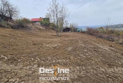 Teren de 900 mp, în Ciurea