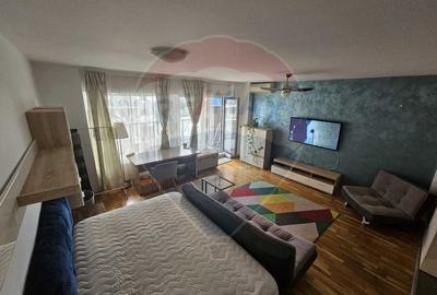 De inchiriat garsoniera spatioasa in Dristor - 1