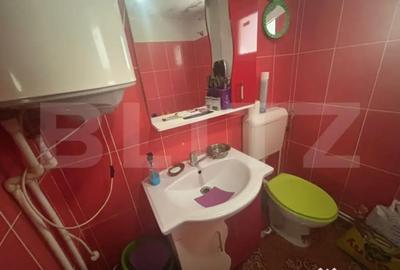 Casă cu 4 camere cu Teren 1300 Mp în Cizer - 7