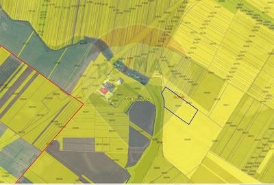 Teren Construcții, Intravilan vanzare, in Bucuresti Ilfov, Glina - 4