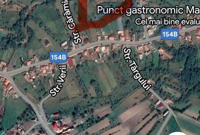 Casă cu 5 camere cu Teren 10000 Mp în Monor - 1