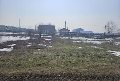 Teren de 400 mp, în Tunari - 2