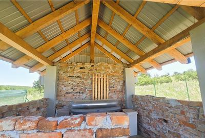 Teren Construcții intravilan de 500 mp, în Sud - 16