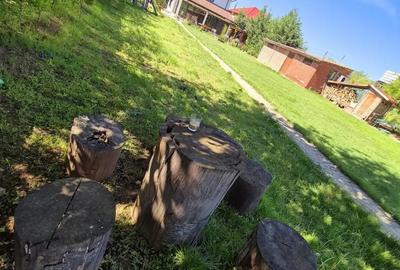 Proprietate de Lux in Lipia, Buzau, direct propietar - 6