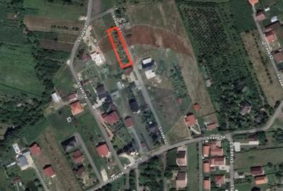 Teren de 700 mp, în Tăuții-Măgherăuș