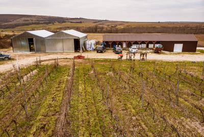 Teren agricol extravilan de 115 mp, în Dud - 2