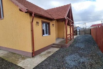 Casă cu 3 camere cu Teren 600 Mp în Vinga - 8