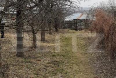 Casa batraneasca cu teren de 6700 mp intravilan, Ipatele Casa batraneasca cu teren de 6700 mp intravilan, Ipatele - 8