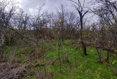 Casă individuală cu 7 camere cu Teren 540 Mp în Berliște - 30