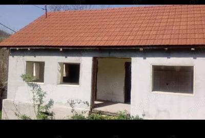 Vand doua case in sat 23 August sau schimb cu garsoniera in Severin - 3