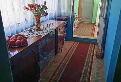 Casă cu Teren 1520 Mp în Frăsinet - 3
