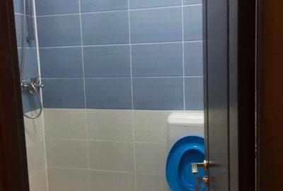 Teren 570 mp + constructie  locuibila + hala zona Giulesti /Podul Grant - 11