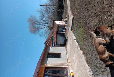 Casă în Târgșoru Nou