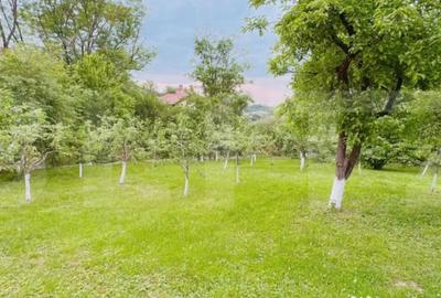 Casă cu 3 camere cu Teren 2000 Mp în Moreni - 17