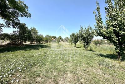 Casa de vanzare in localitatea Dinias - 11