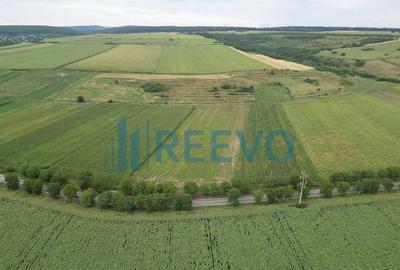 Teren de 4400 mp, în Racova - 2