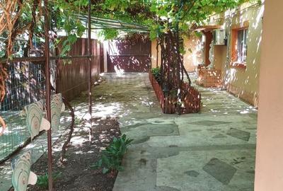 Casă cu 3 camere cu Teren 490 Mp în Brăilița - 2