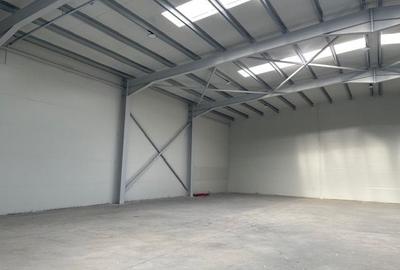 Spatiu depozitare si productie Soseaua de centrua Chitila - 6