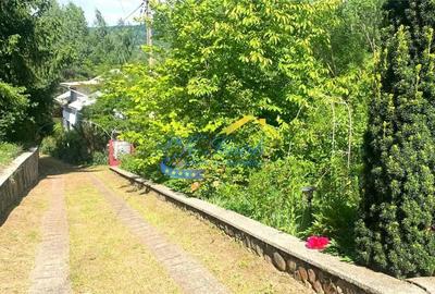 Vila de vanzare, Provita de Sus Prahova Vila de vanzare, Provita de Sus Prahova - 18