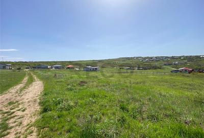 RECO Teren intravian in Oradea Str Beldiceanu 771mp - 3