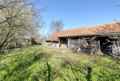 Casă individuală cu 8 camere cu Teren 3800 Mp în Răchitova - 9