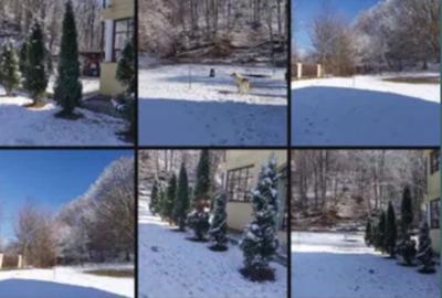 Casă cu 4 camere în Mislea - 3