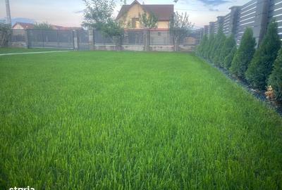 Casă cu 5 camere cu Teren 800 Mp în Săcălaz - 3