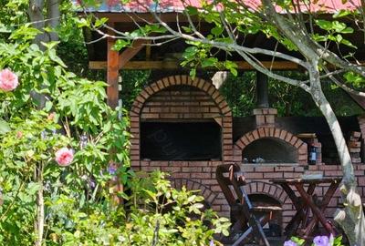 Clisura Dunarii Pensiune Casa cu Smochini - 7