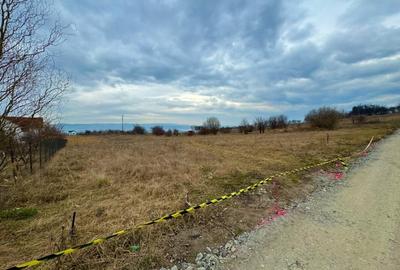 Teren intravilan 3500 mp cu vedere panoramica asupra Clujului, Dambul Rotund - 3