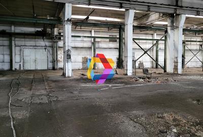 Hala - 1137 mp  # plus-imo.ro - 7