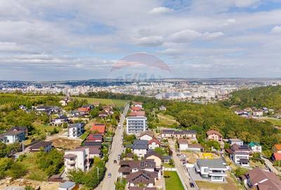 Casa de vanzare, moderna in Hlincea - 4