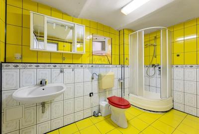 Casa spatioasa de inchiriat pe Malul Muresului - 6