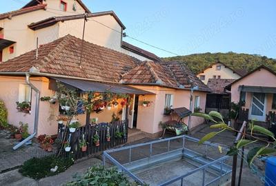 Casă cu 2 camere în Dezmir - 2