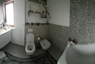 Vila de vanzare Lunca Calnicului - 7