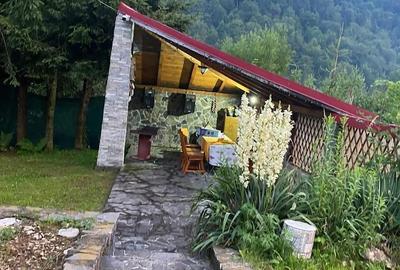 Casă cu Teren 750 Mp în Ștefăneștii de Jos - 9
