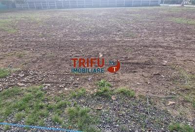 Teren cu o suprafață de 1093 mp, poziționat în zona Cetate, - 6