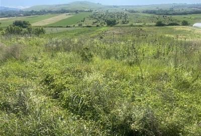 Teren intravilan de 6148 mp, în Sopor