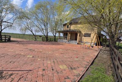 Teren de 60000 mp, în Stoenești - 12