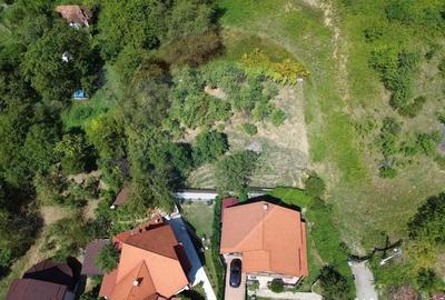 Teren de 2868 mp, în Săsar - 8