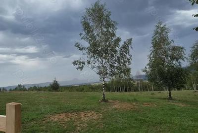 Teren extravilan 13.800 mp Ra?nov, Glajarie priveli?te superba, oportunitate de investi?ie Teren extravilan 13.800 mp Ra?nov, Glajarie priveli?te superba, oportunitate de investi?ie - 2