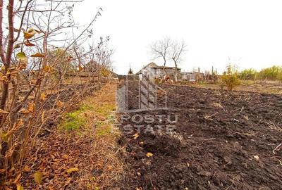 Casă cu 4 camere cu Teren 996 Mp în Dudeștii Noi - 1