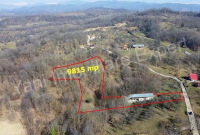 Casă cu Teren 9815 Mp în Borovinești - 15