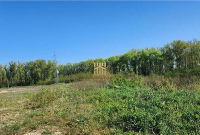 Teren 18 hectare - Scheia - Apa Sucevei! - 6