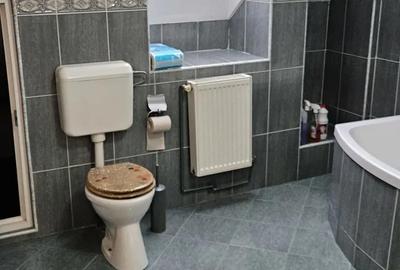 Apartament cu 3 camere decomandat în Ultracentral - 15