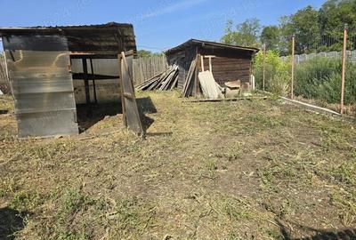 Casă cu 5 camere în Giubega - 7