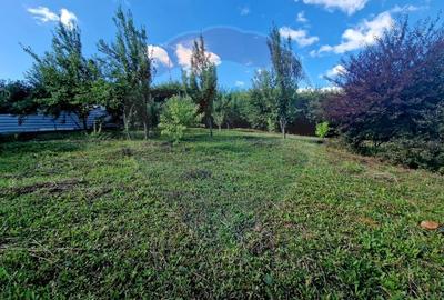 Teren 1,000mp Piatra-Neamt / Strada Pietrelor - 12